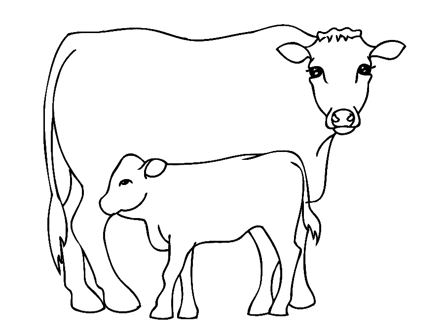 Cow Coloring Pages - Kidsuki