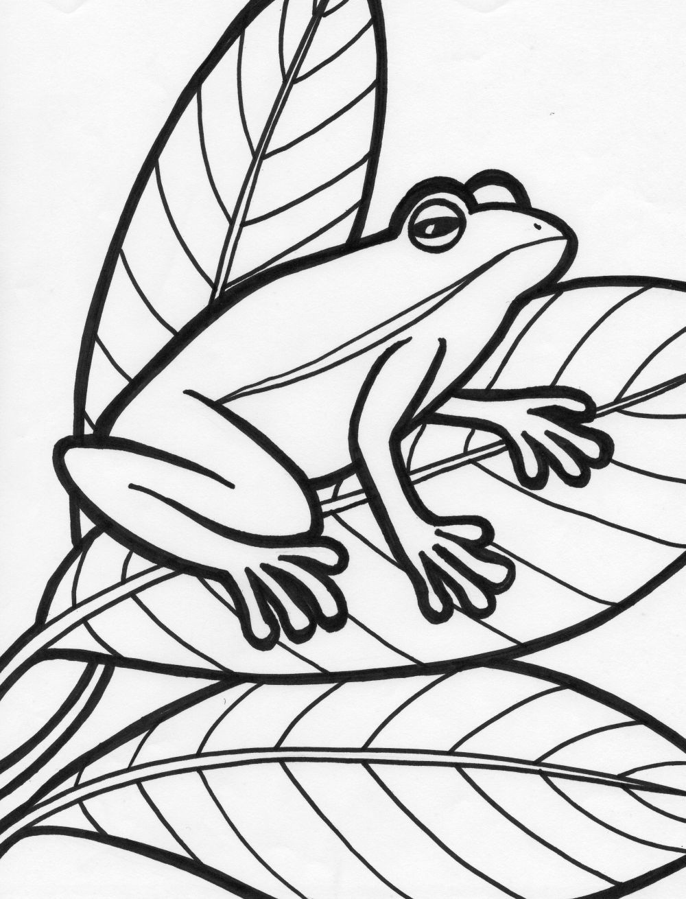 queen frog coloring pages for kids - photo #34