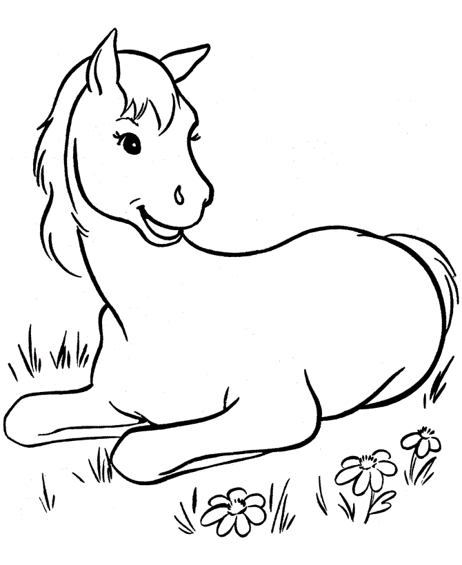 images of coloring pages of horses - photo #19