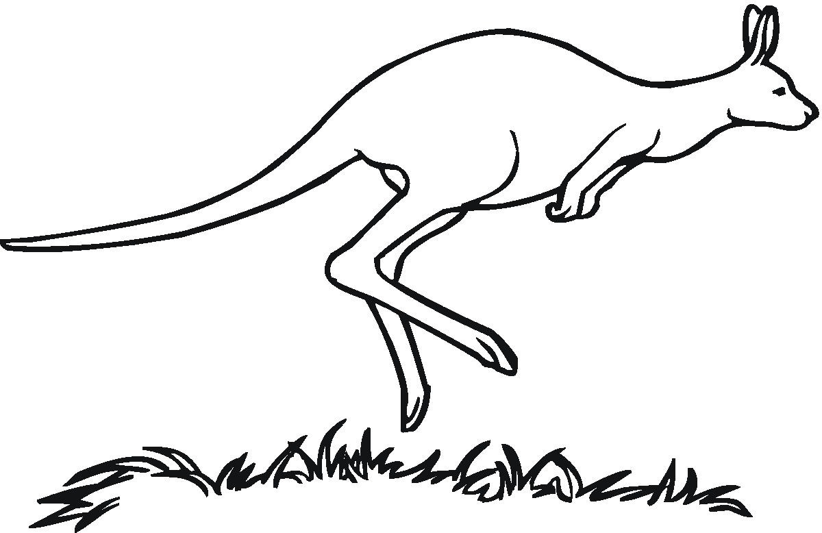 k for kangaroo coloring pages - photo #40