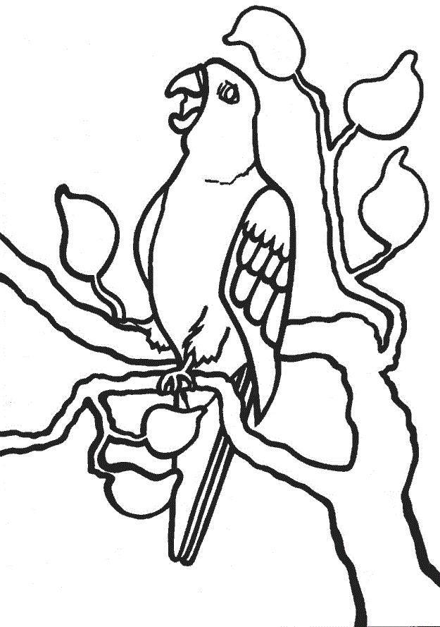 macaw coloring pages super coloring pages - photo #39