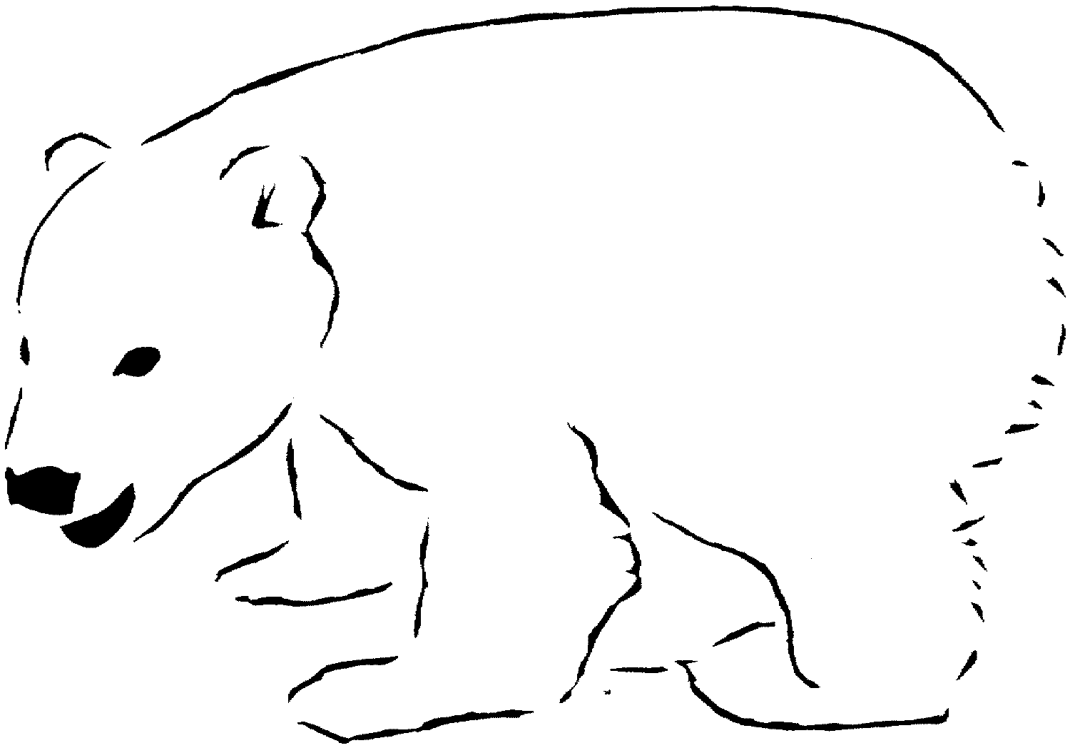 Polar Bear Coloring Pages Printable