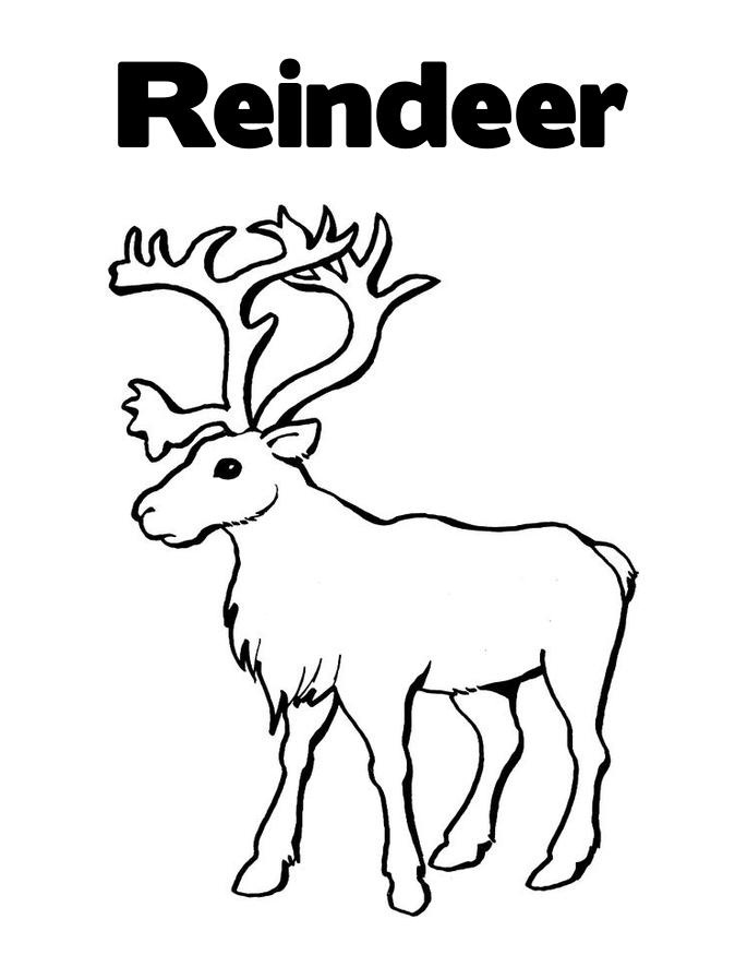 rain deer coloring pages - photo #14