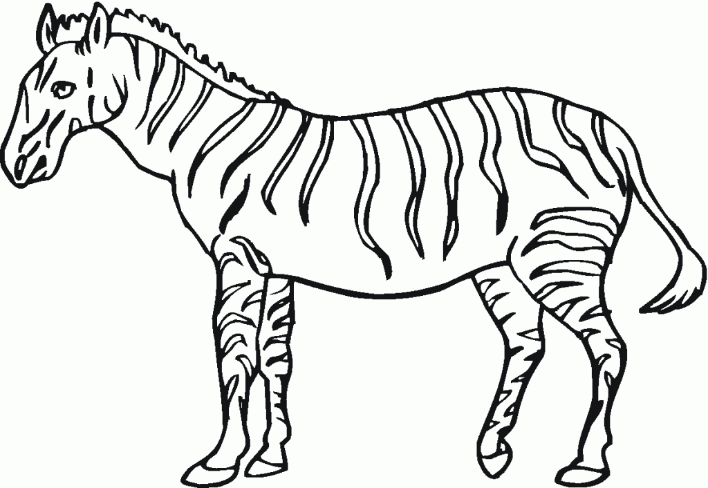 free-printable-zebra-coloring-pages-for-kids