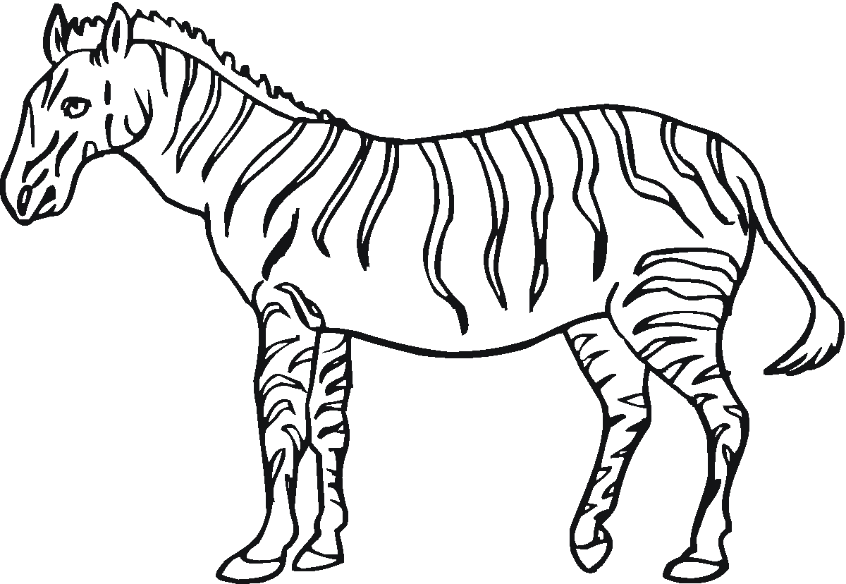 zebra full page coloring pages - photo #42