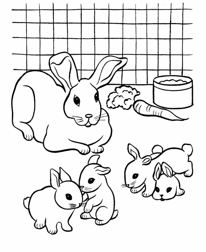 rabbit coloring pages for free - photo #17