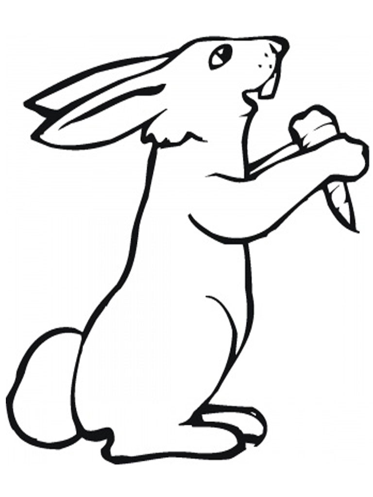 rabbit picture for kids coloring pages - photo #36