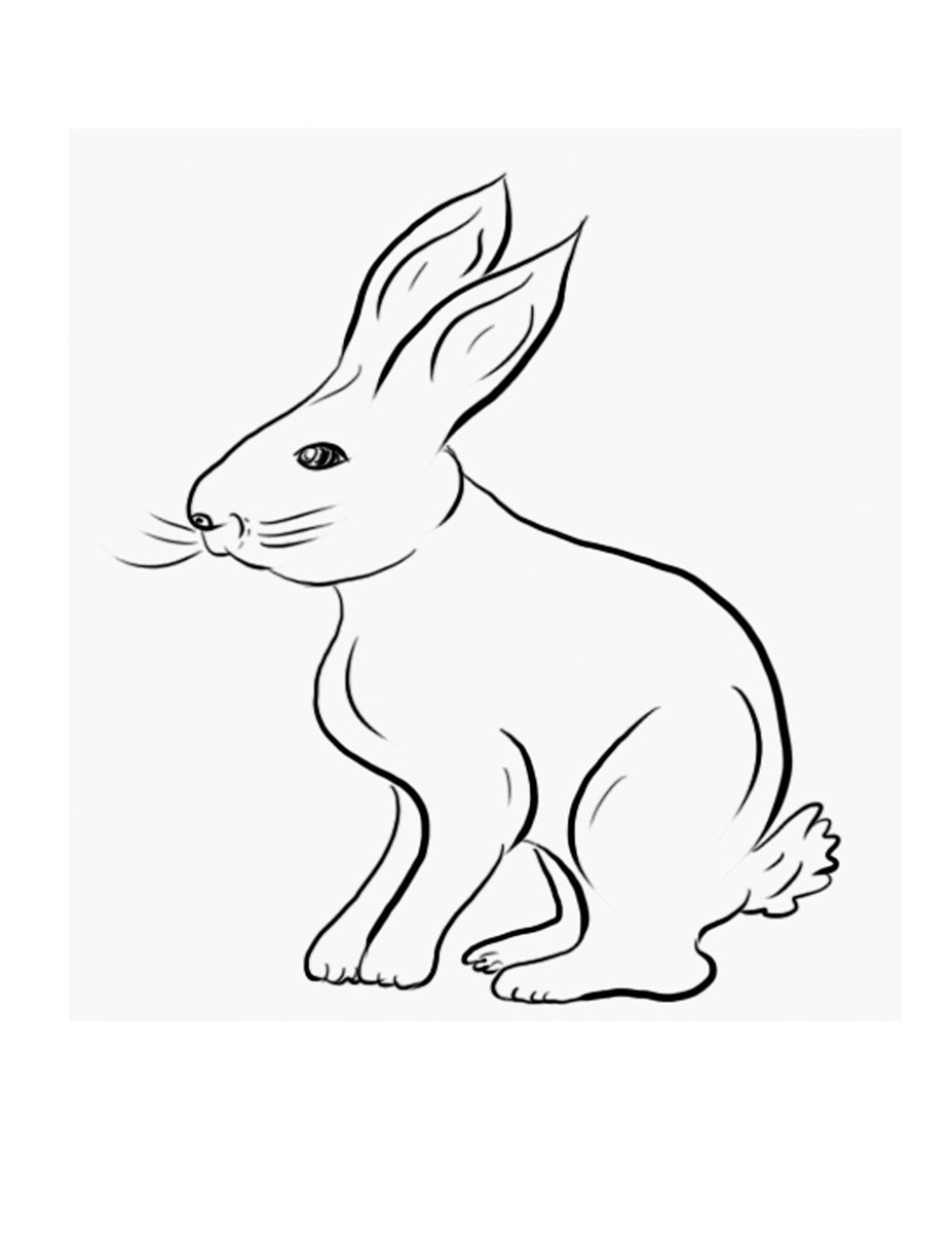 bunny coloring pages for kids - photo #29