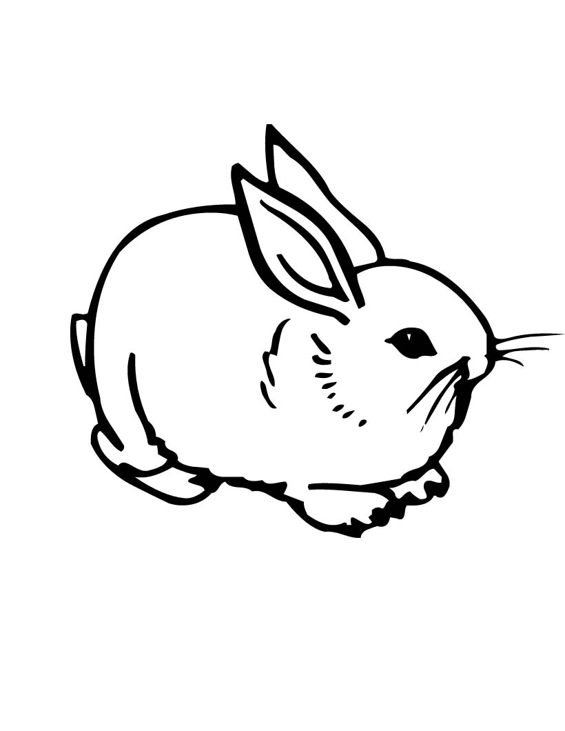 rabbit coloring book pages - photo #20