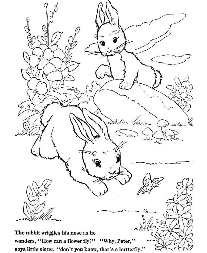 rabbit coloring book pages - photo #27