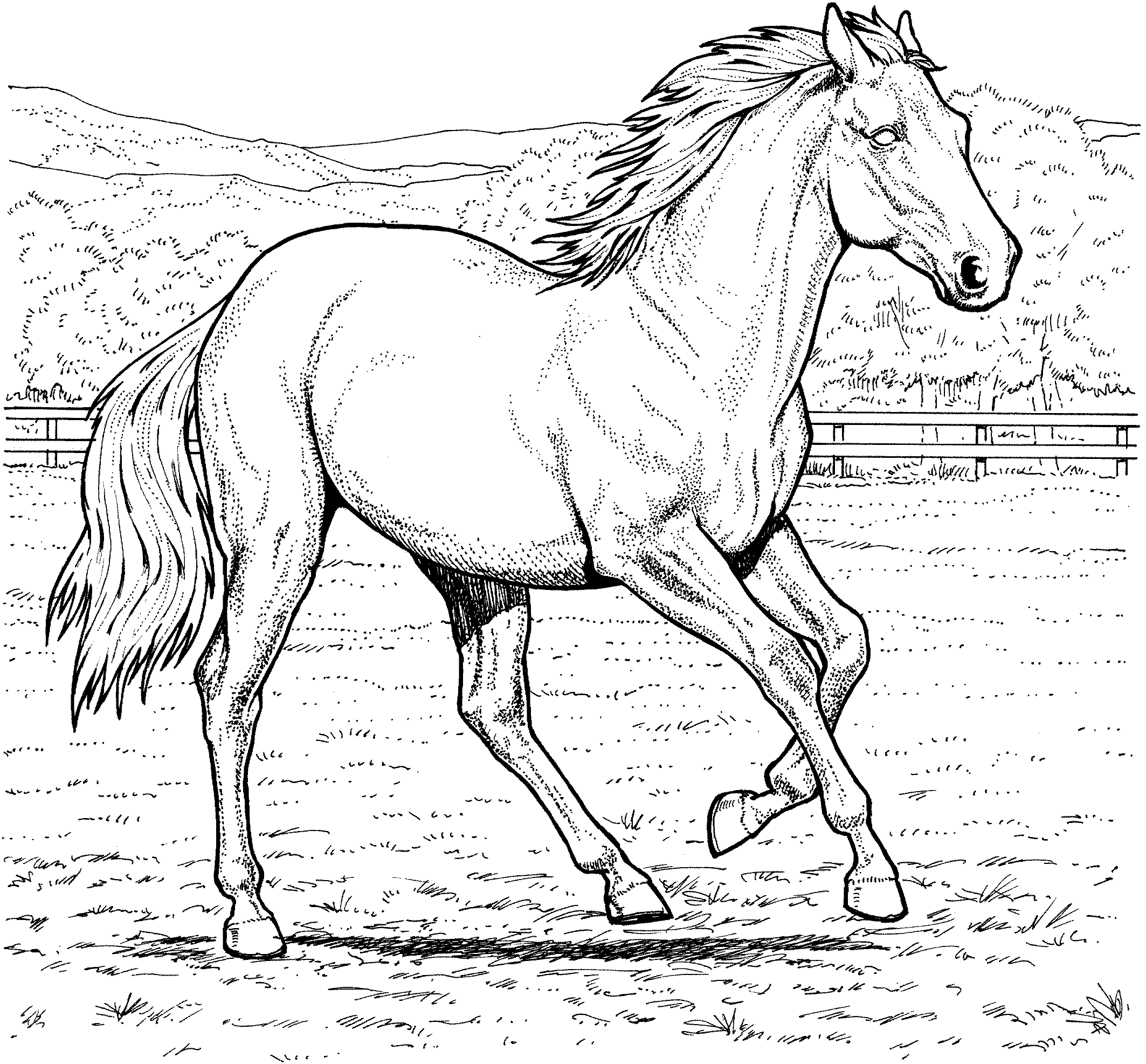 Real Horse Coloring Pages