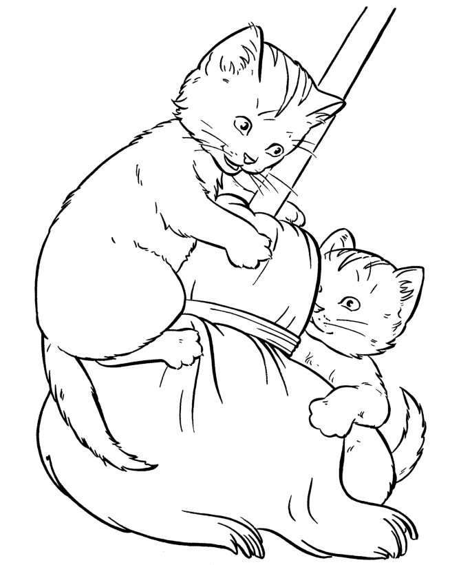 images of cat coloring pages - photo #28