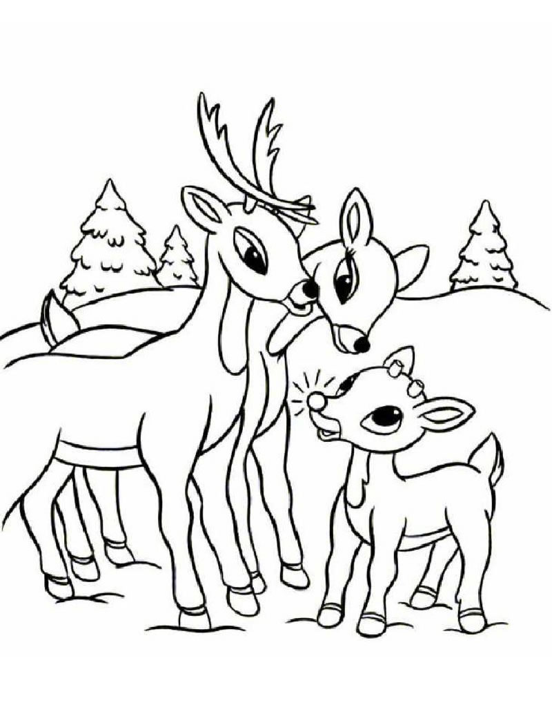 Reindeer Coloring Pages   Kidsuki