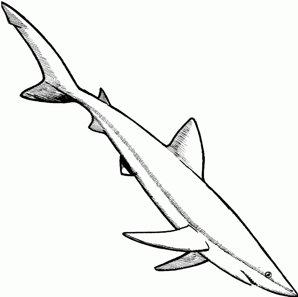 free-printable-shark-coloring-pages-for-kids