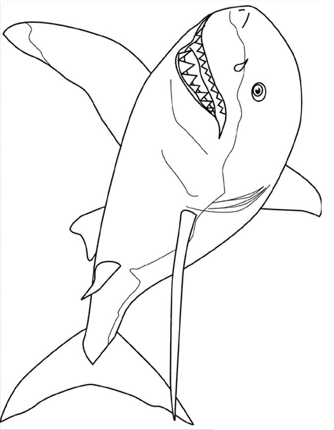 shark-coloring-pages-to-download-and-print-for-free