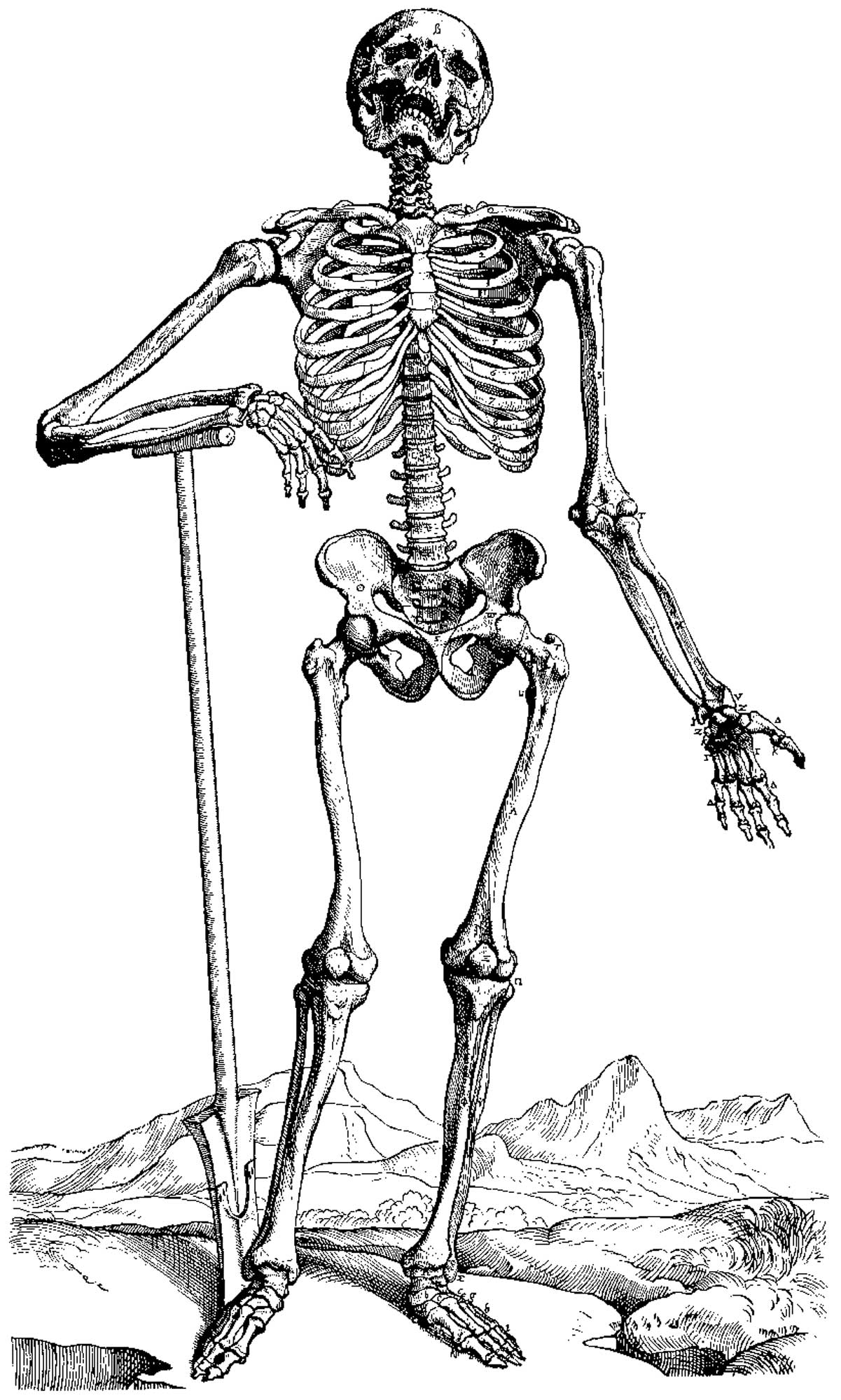 Skeleton Coloring Pages Printable