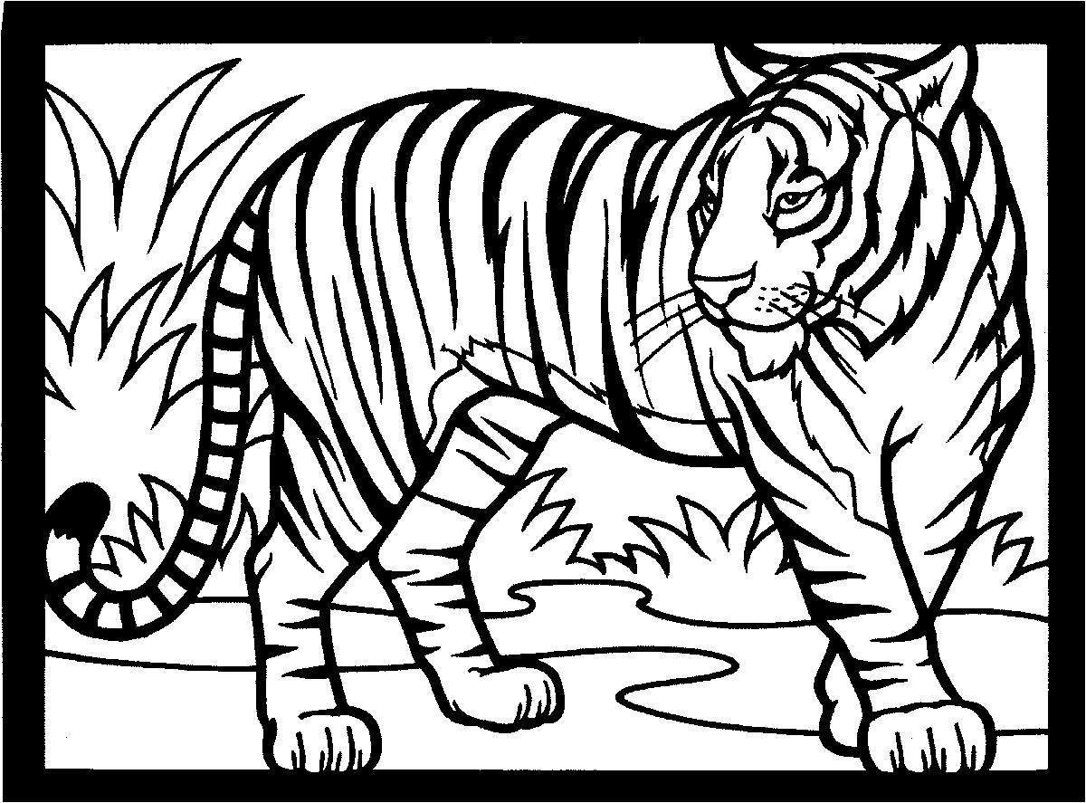 Free Printable Tiger Coloring Pages For Kids