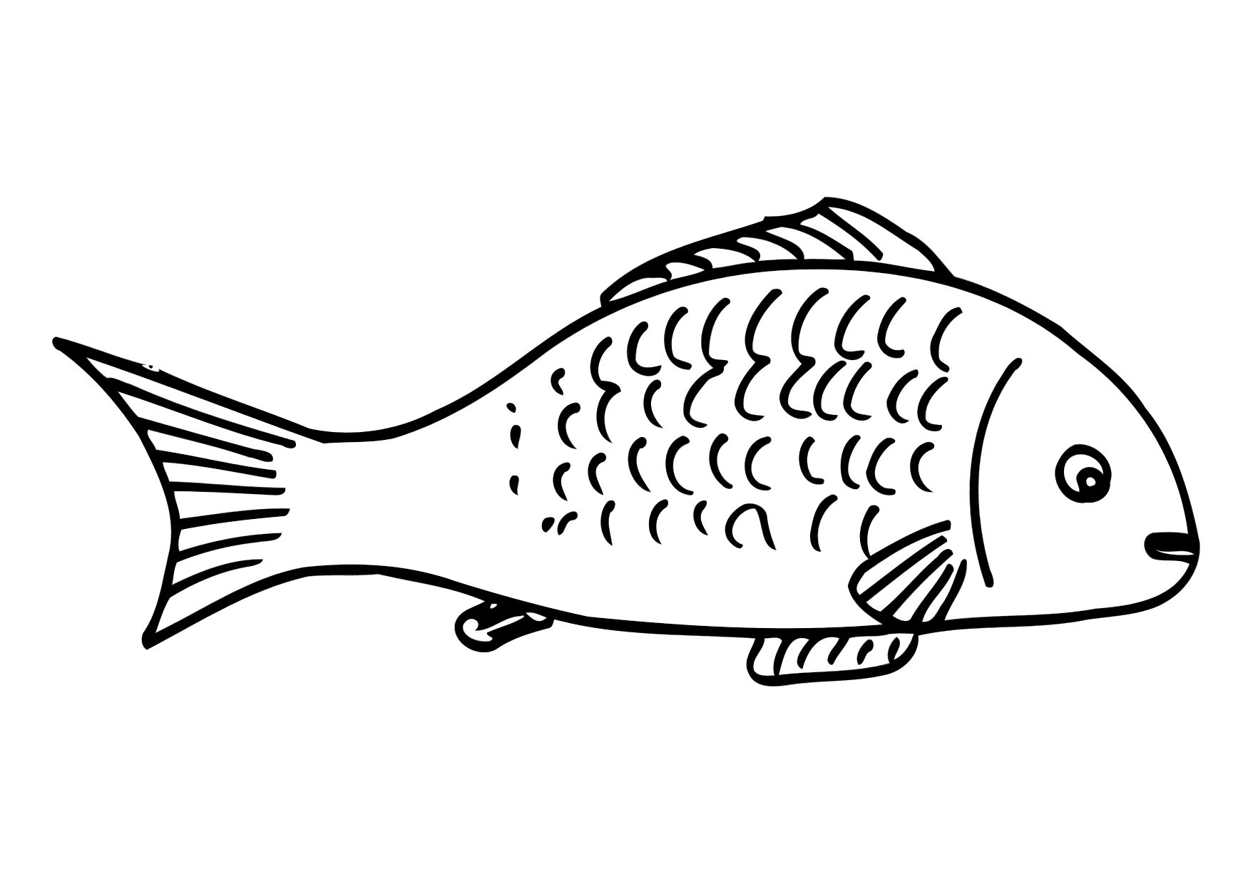 images of fish coloring pages - photo #32