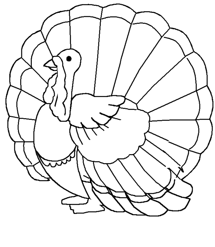 images of printable turkey coloring pages - photo #16