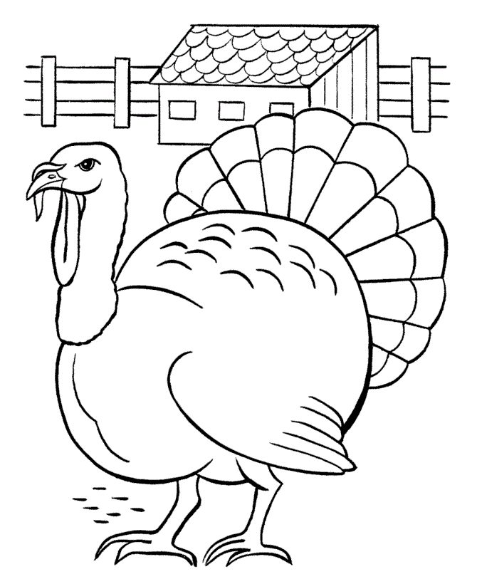 a turkey coloring pages - photo #38