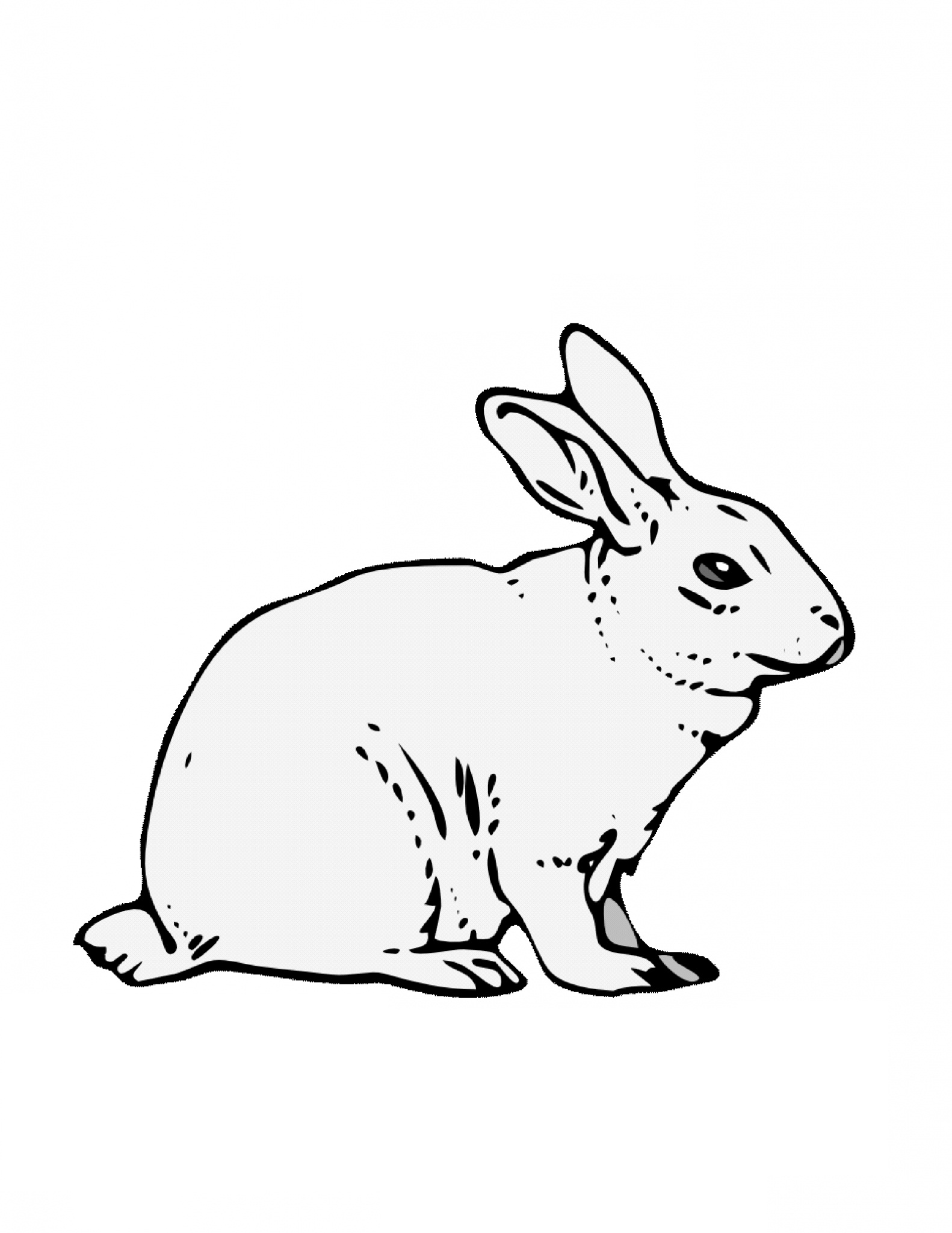 rabbit coloring pages for kids - photo #24