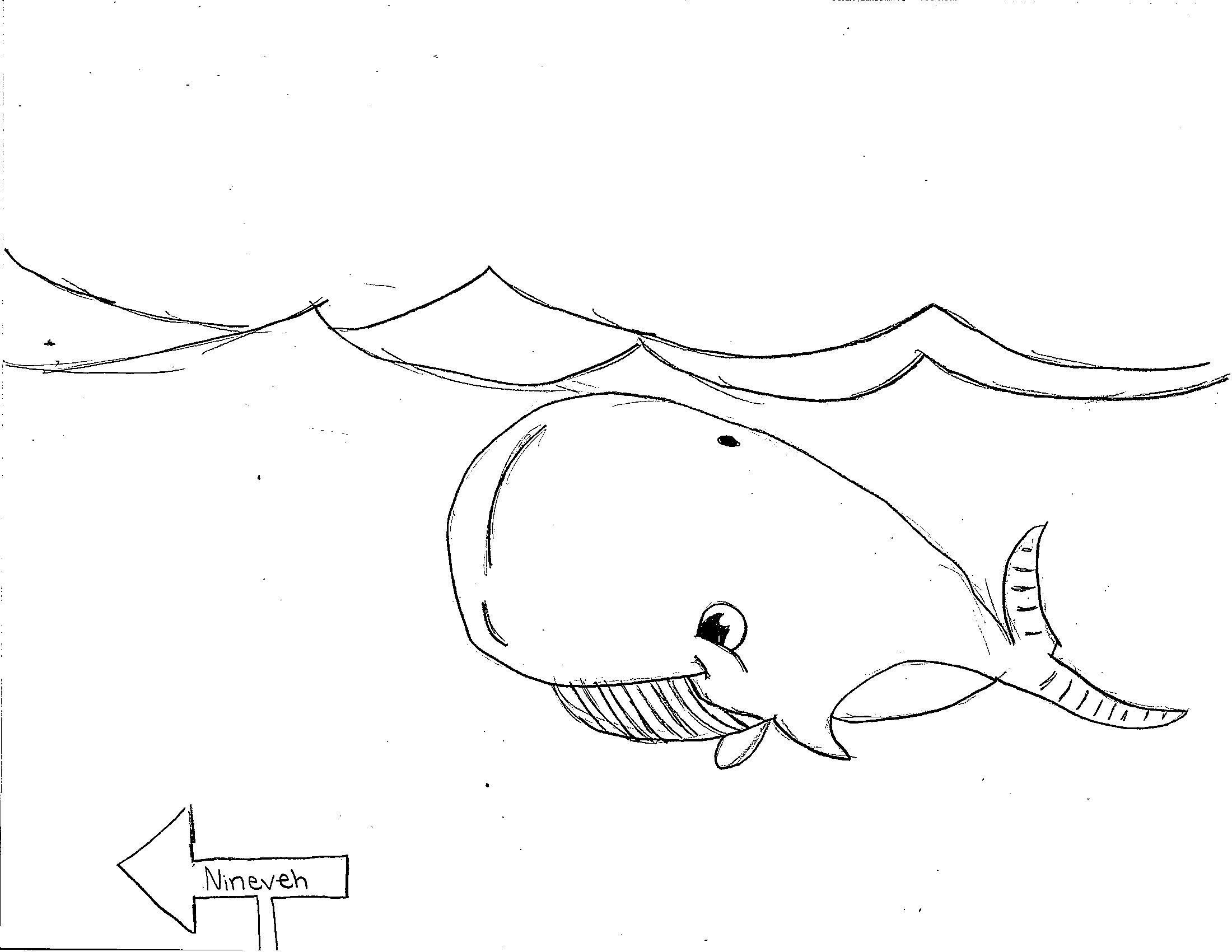 Whale Coloring Pages