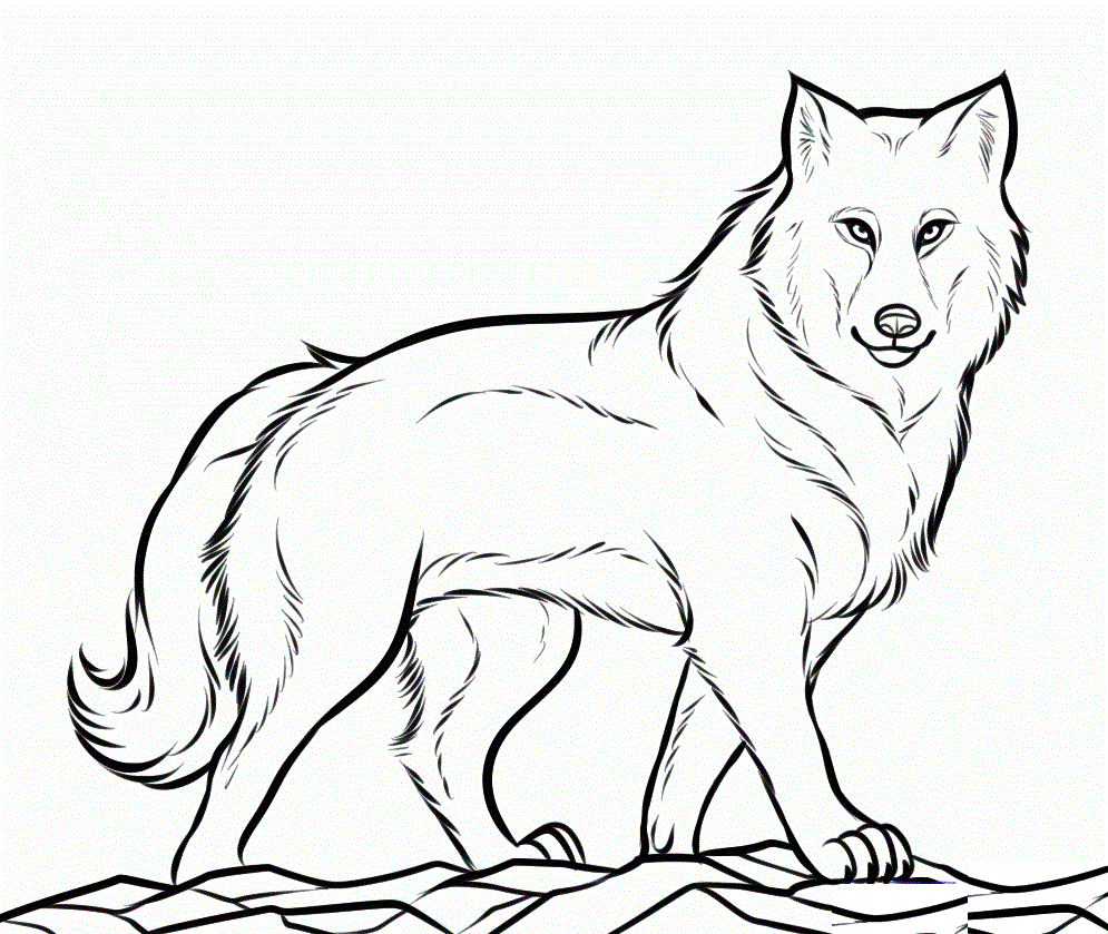 Free Printable Wolf Coloring Pages For Kids