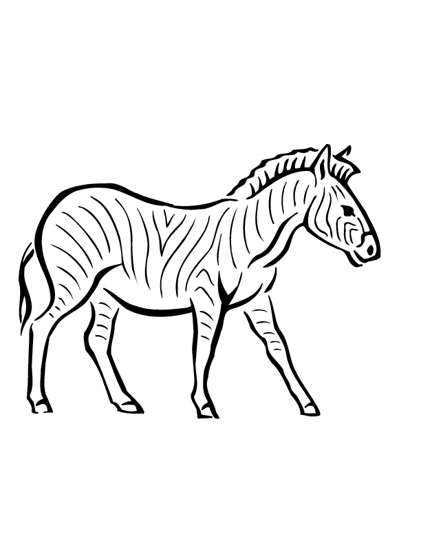 zebra coloring pages free printable - photo #45