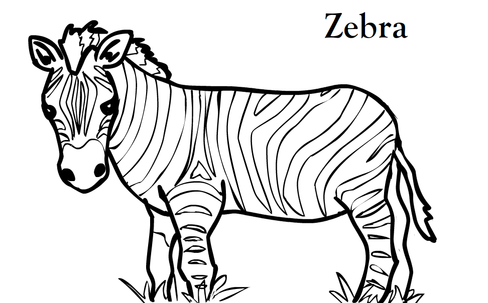 zebra coloring pages without stripes - photo #37