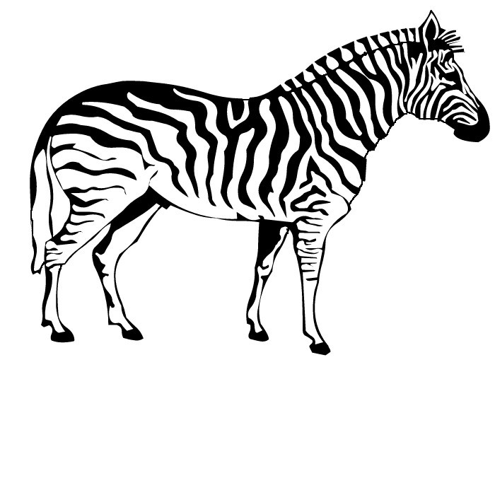 zebra coloring pages - photo #14