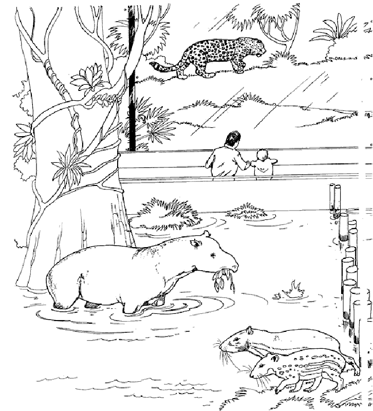 zoo kindergarten coloring pages - photo #31