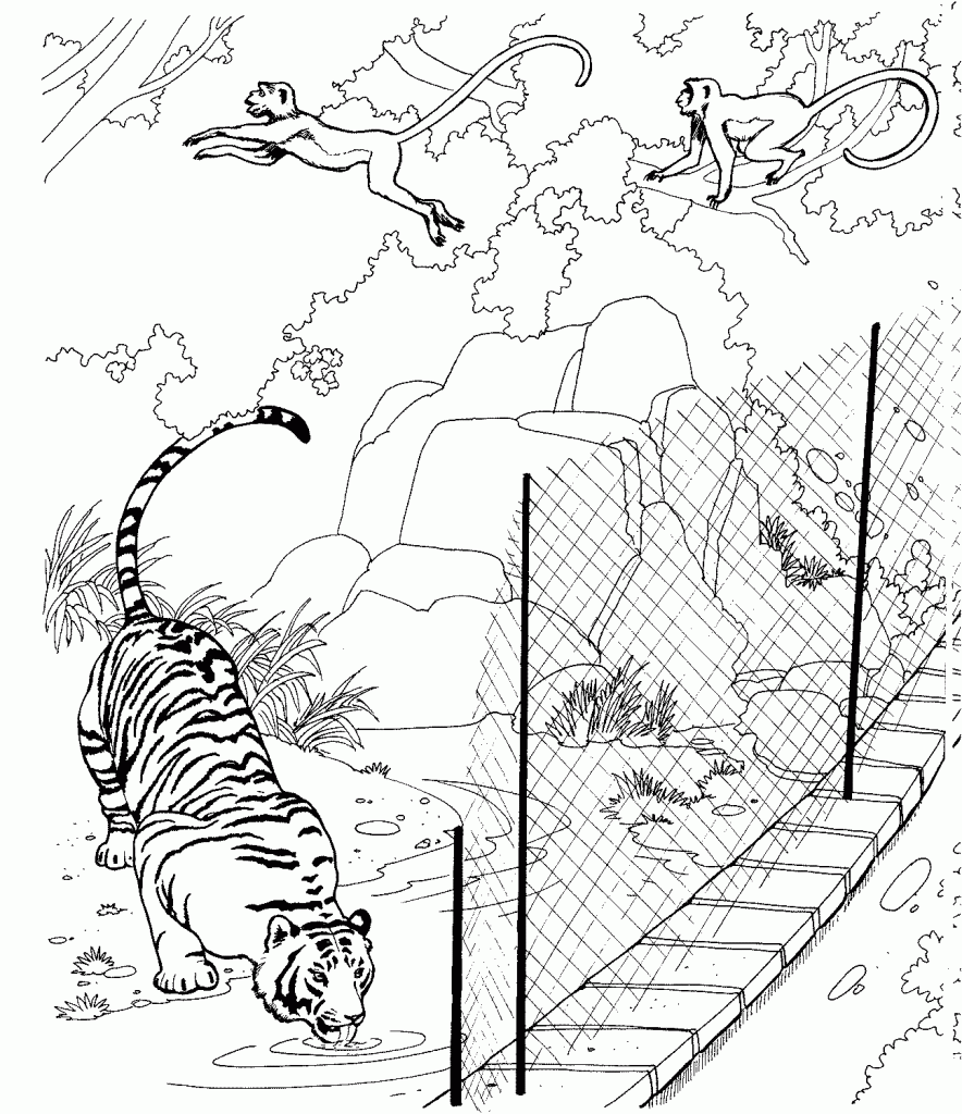 zoo printable coloring pages - photo #7