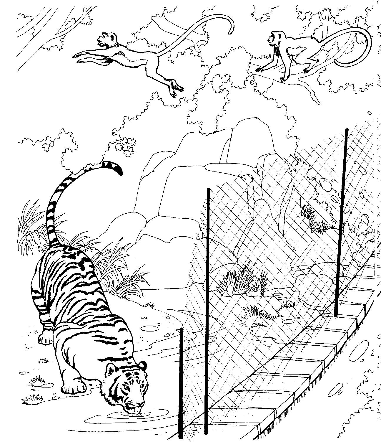 zoo images for coloring pages - photo #5