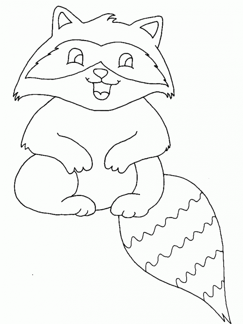 raccoon coloring pages - photo #1