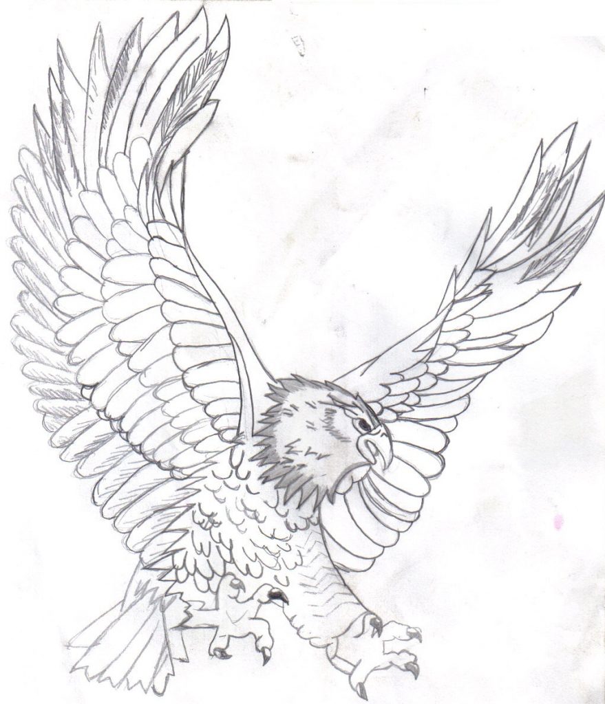eagle and flag images coloring pages - photo #46