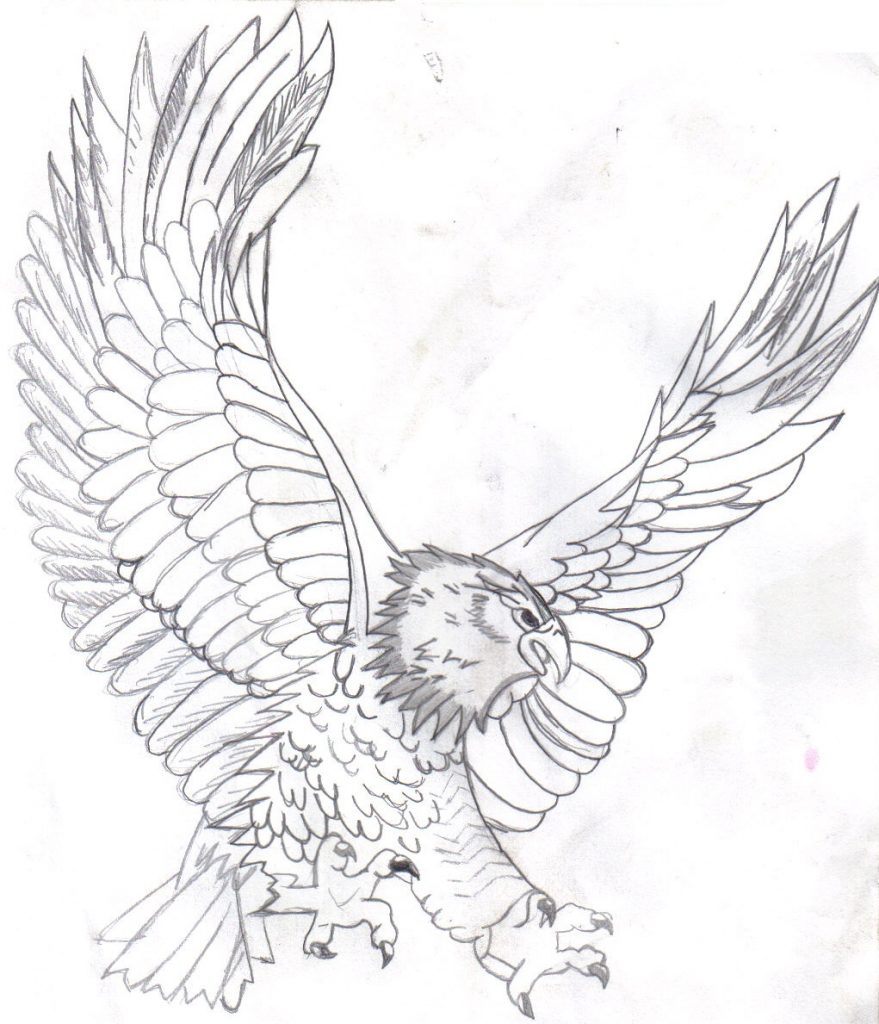 eagle coloring pages for adults - photo #50