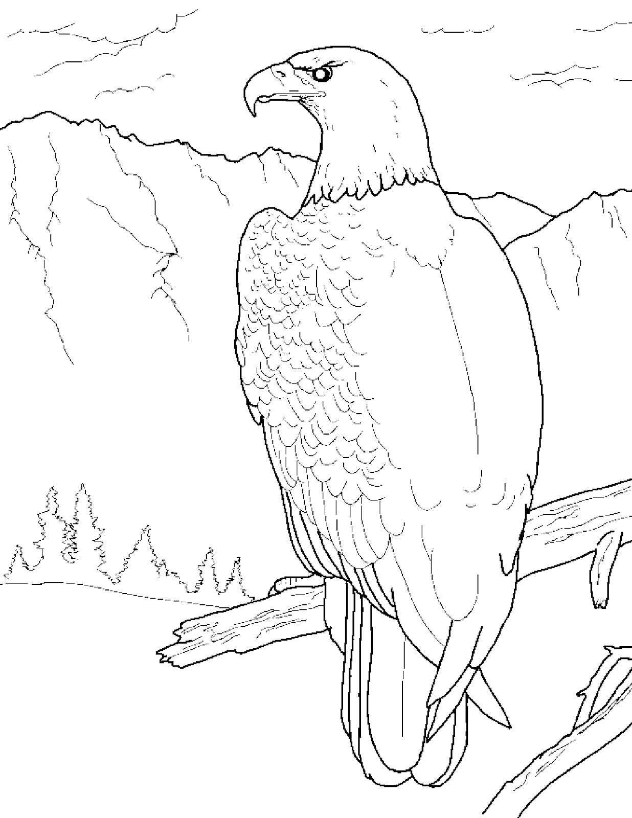 eagles coloring pages for kids - photo #7