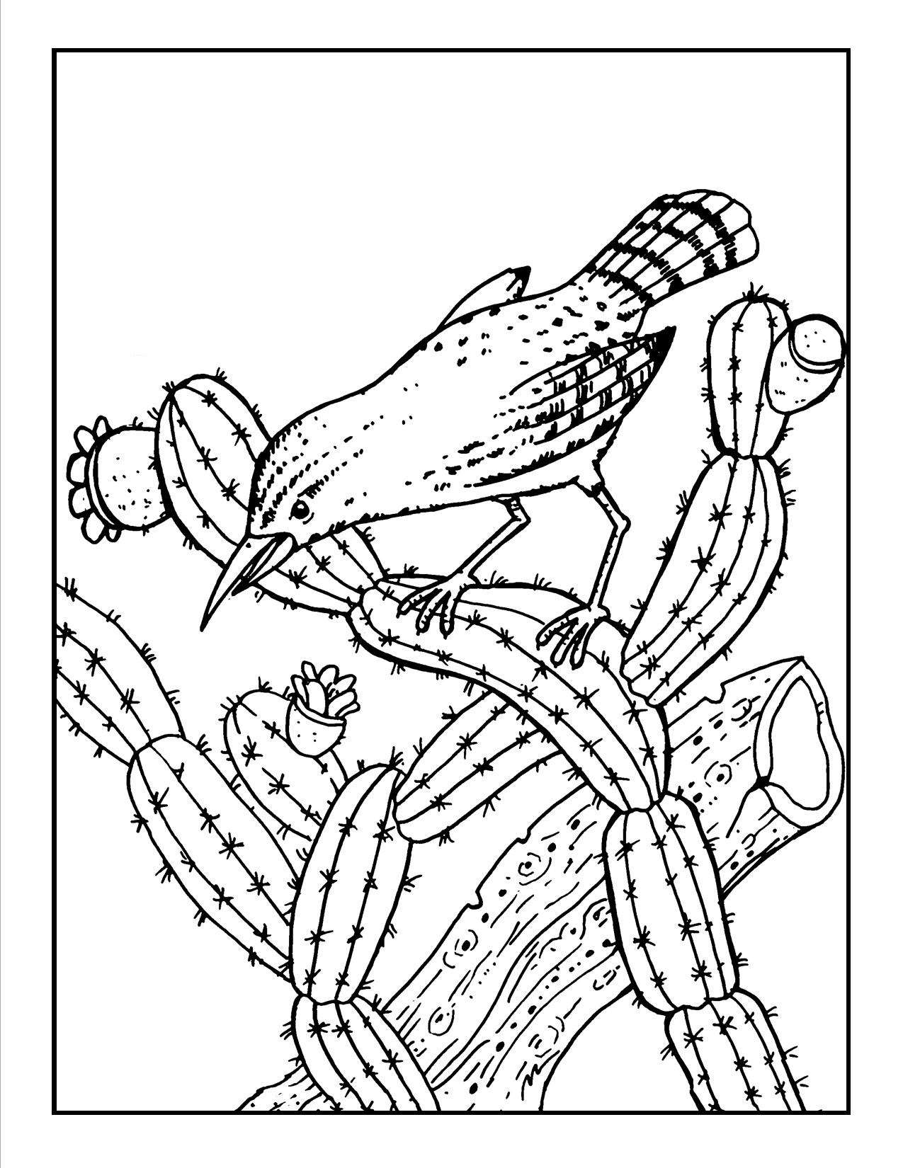 cactus images coloring pages - photo #8