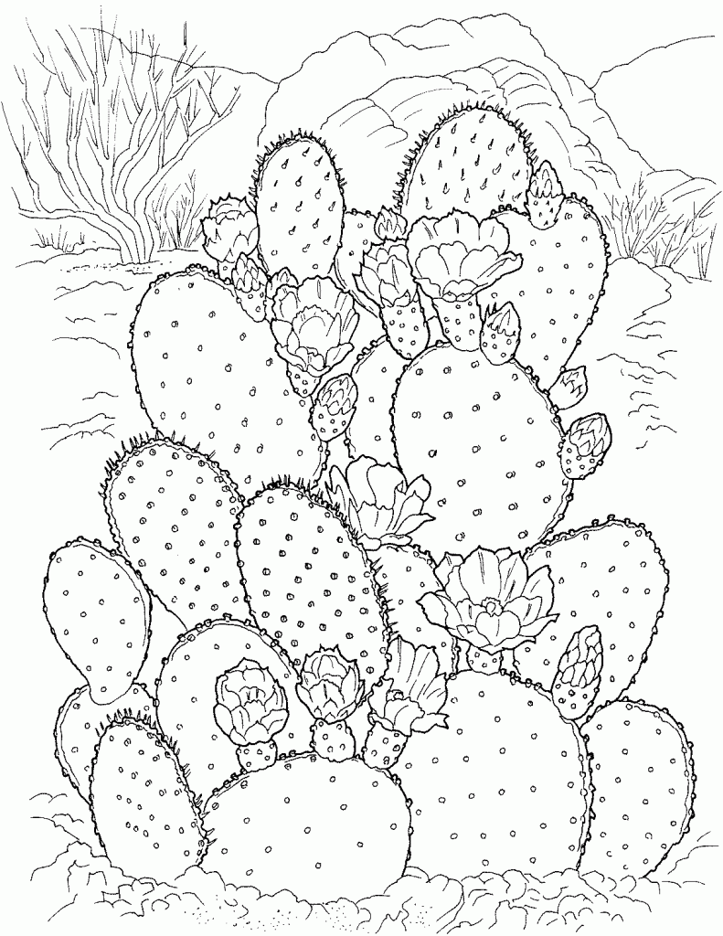 cactus coloring printable adults adult