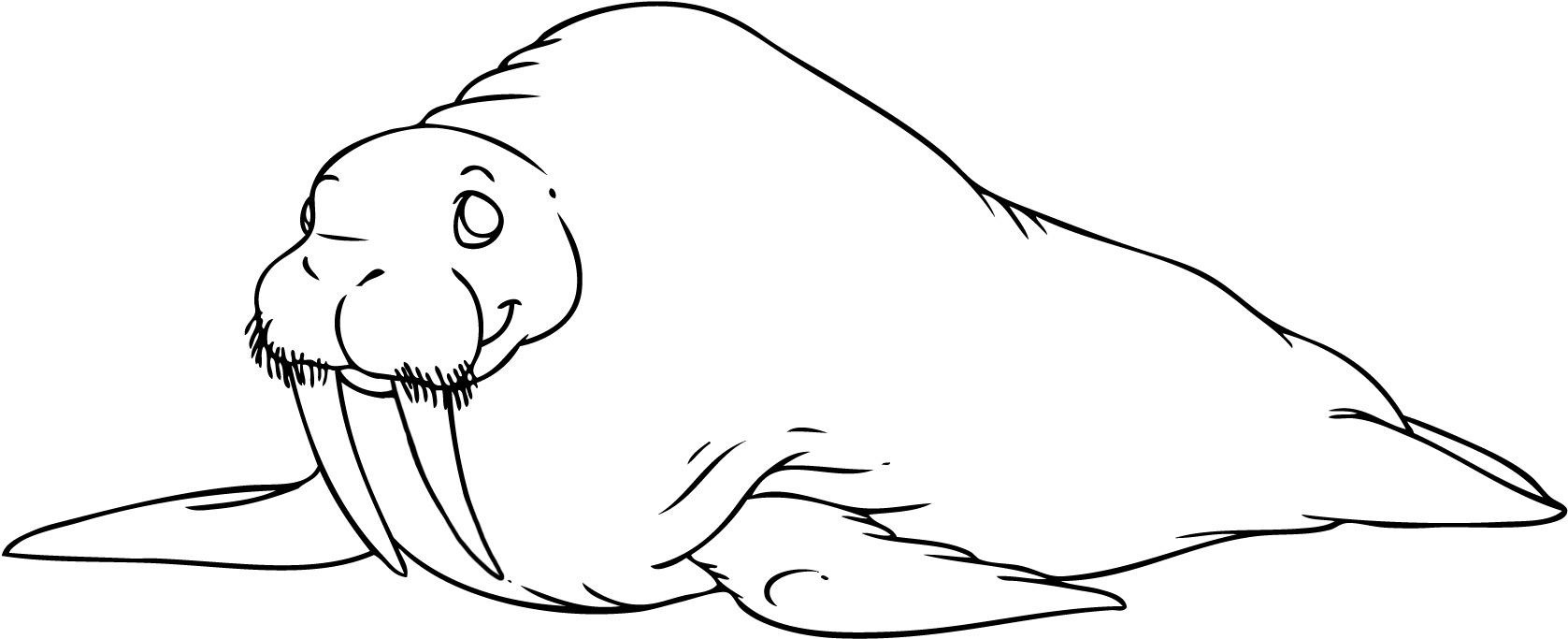 walrlus coloring pages - photo #31