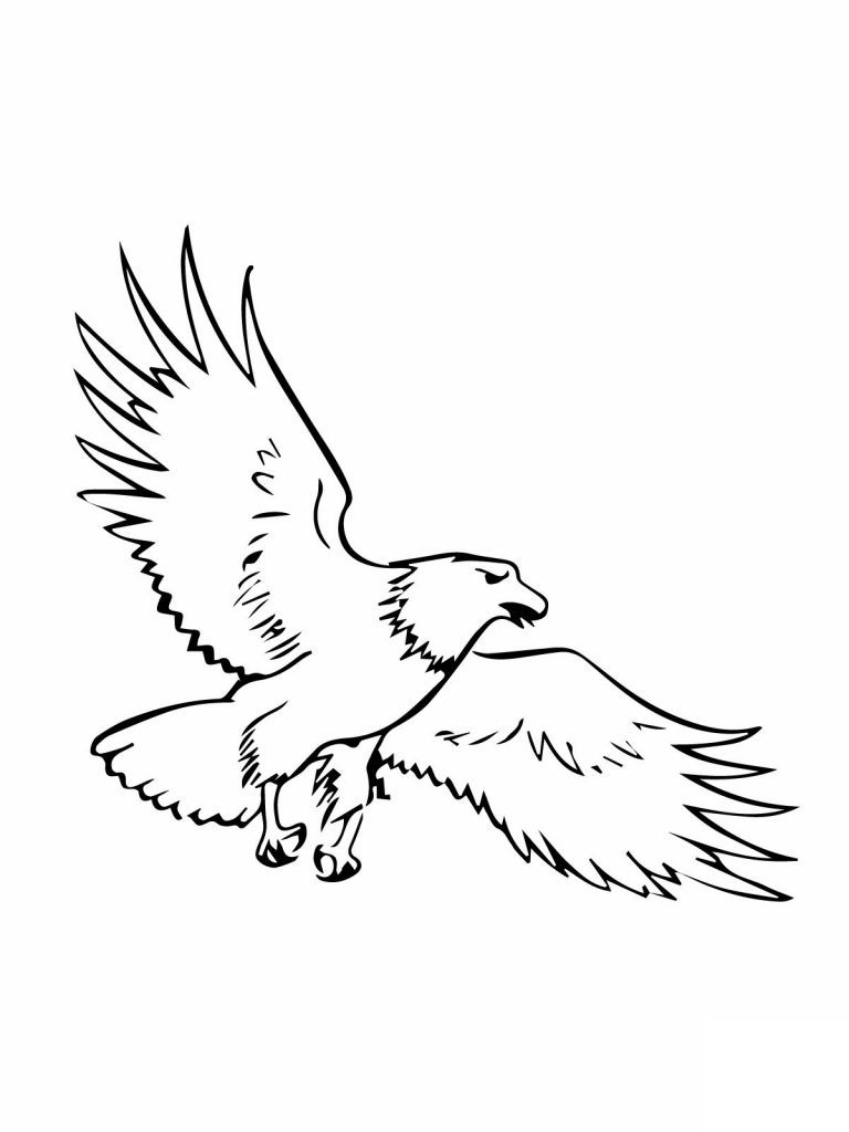 eagle coloring pages print - photo #19