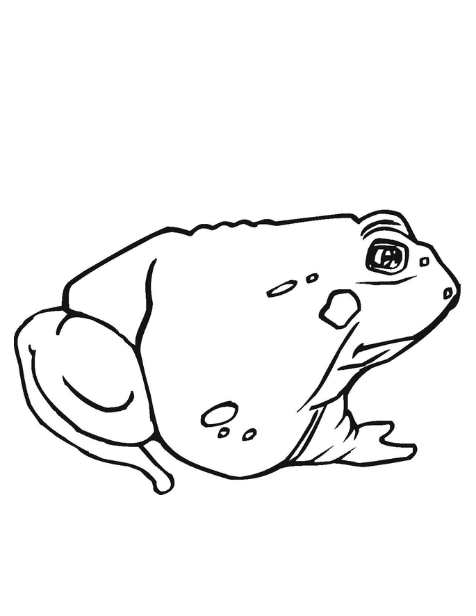 toad coloring pages - photo #13