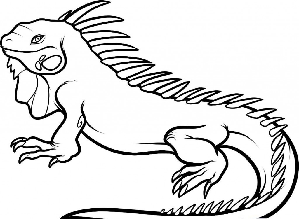 galapagos iguanas coloring pages - photo #21