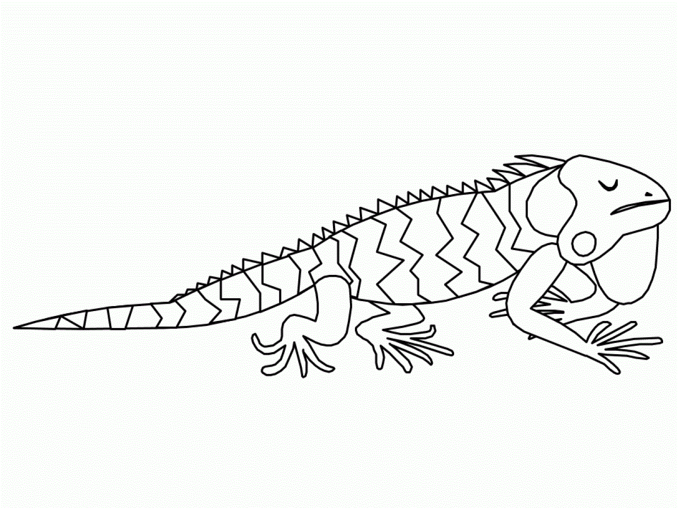 iguana coloring pages to print - photo #6