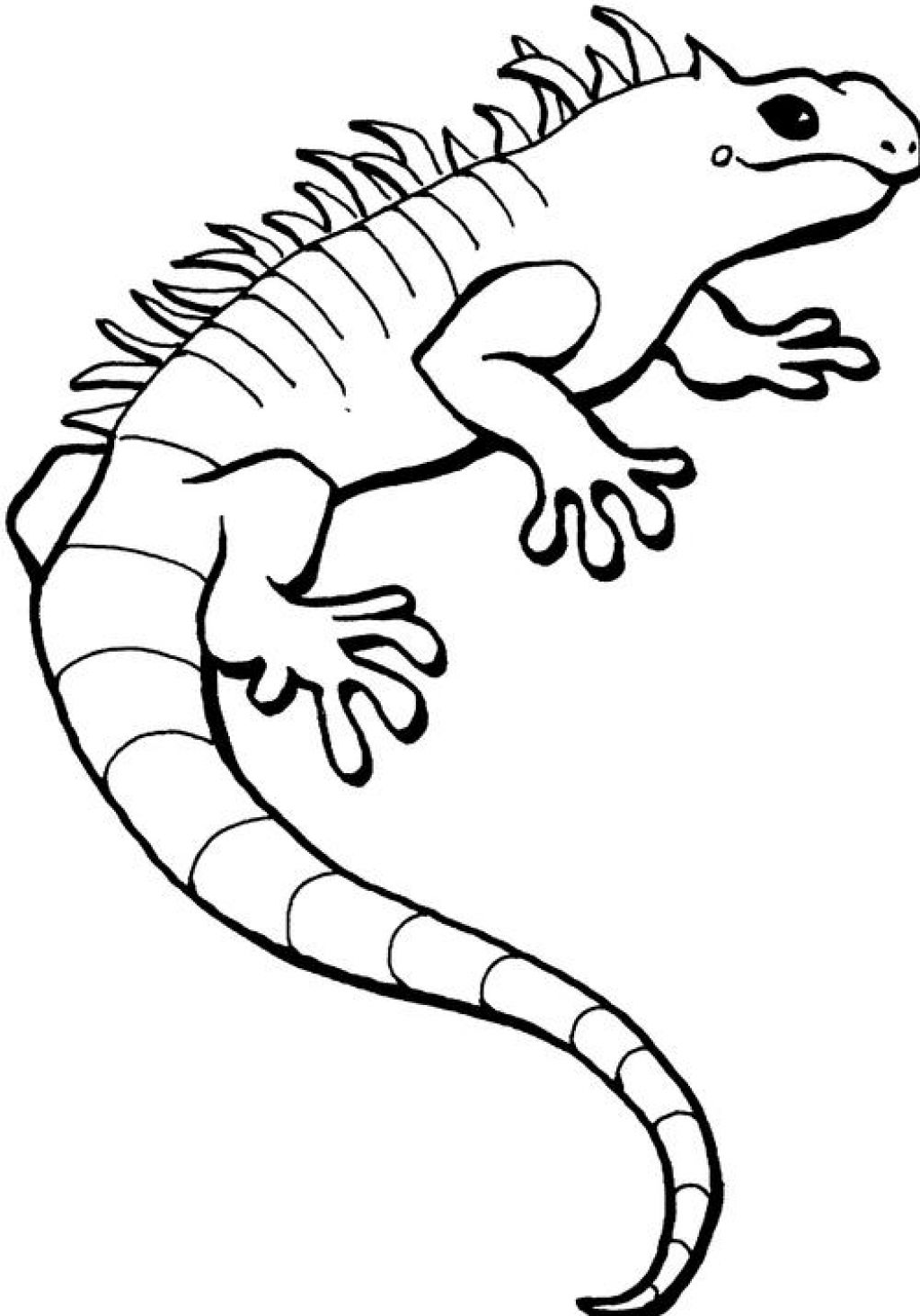 iguana coloring pages to print - photo #5