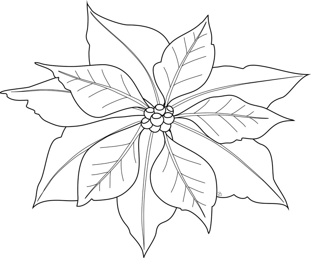 free-printable-poinsettia-coloring-pages-for-kids