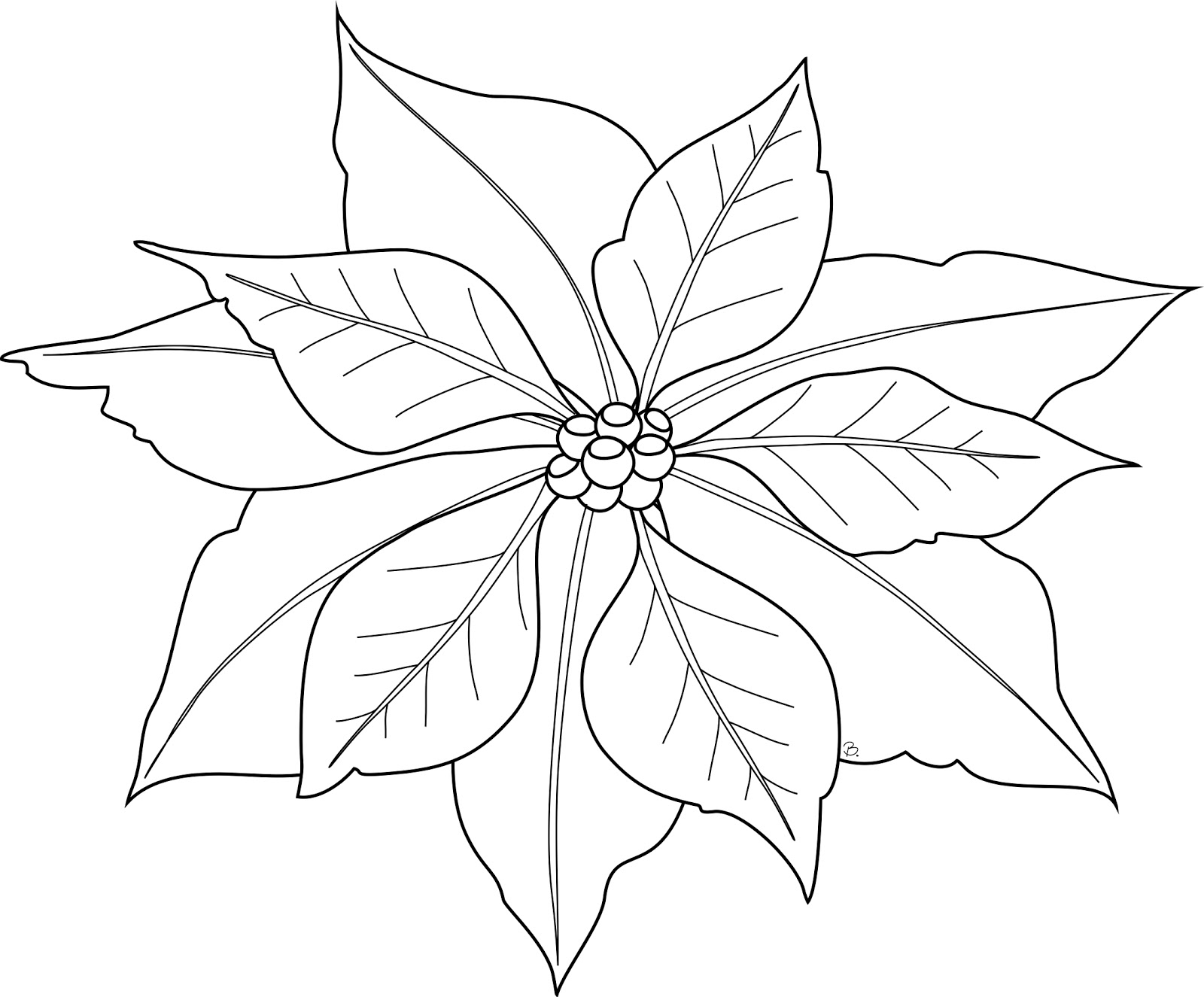 free black and white poinsettia clipart - photo #5