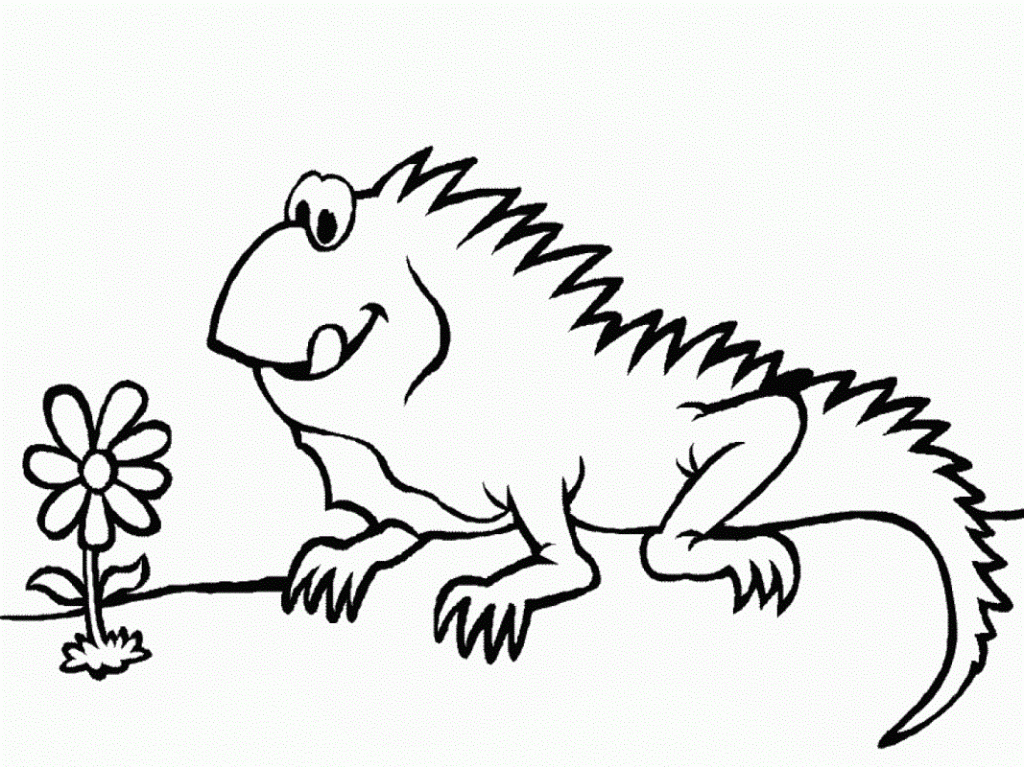 iguana coloring pages to print - photo #4