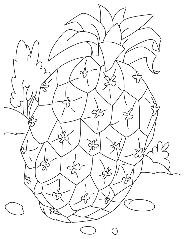 free-printable-pineapple-coloring-pages-for-kids
