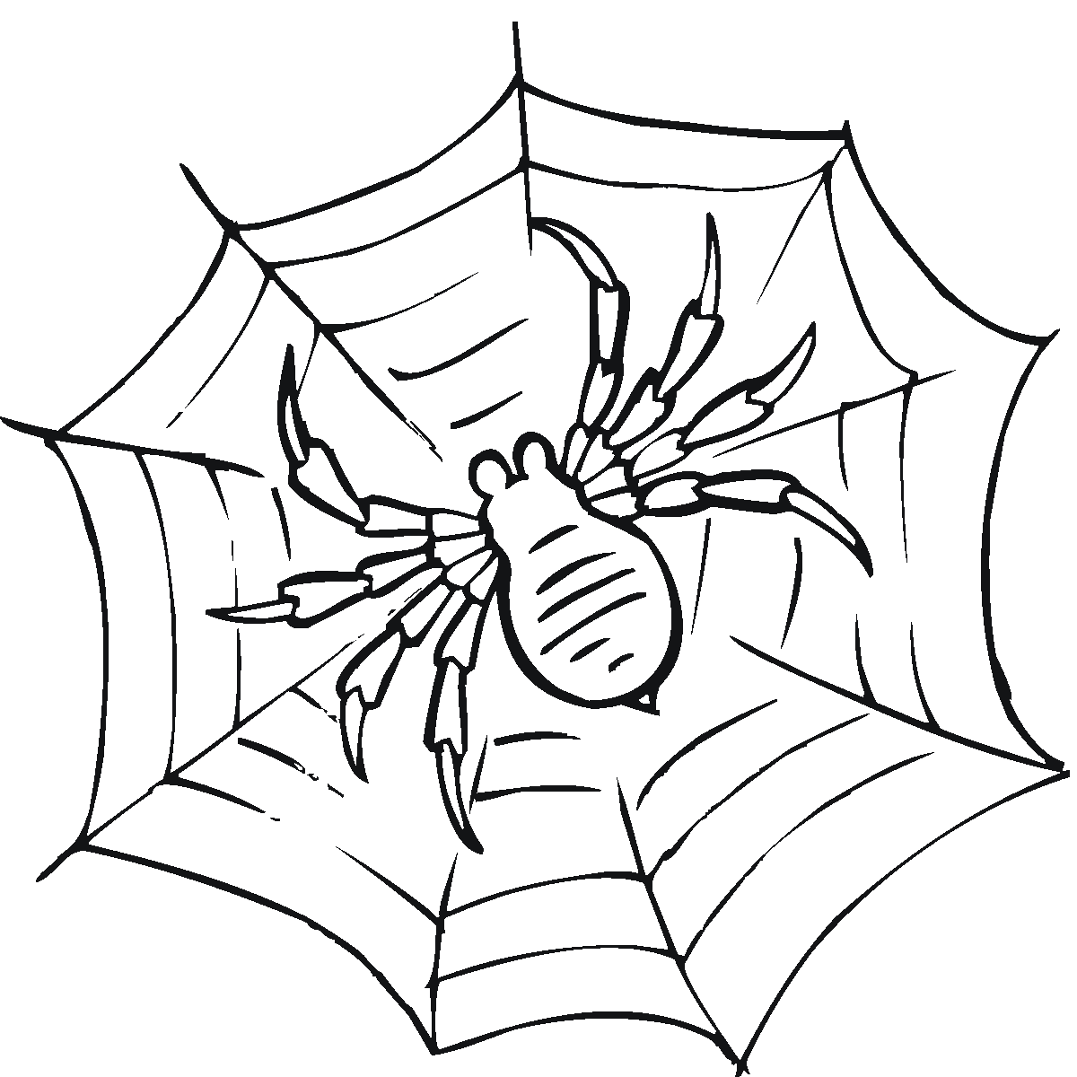 Free Printable Spider Web Coloring Pages